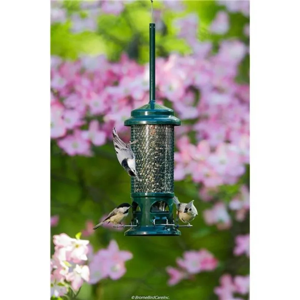 Squirrel Buster Standard Squirrel-proof Bird Feeder w/4 Metal Perches, 1.3-pound